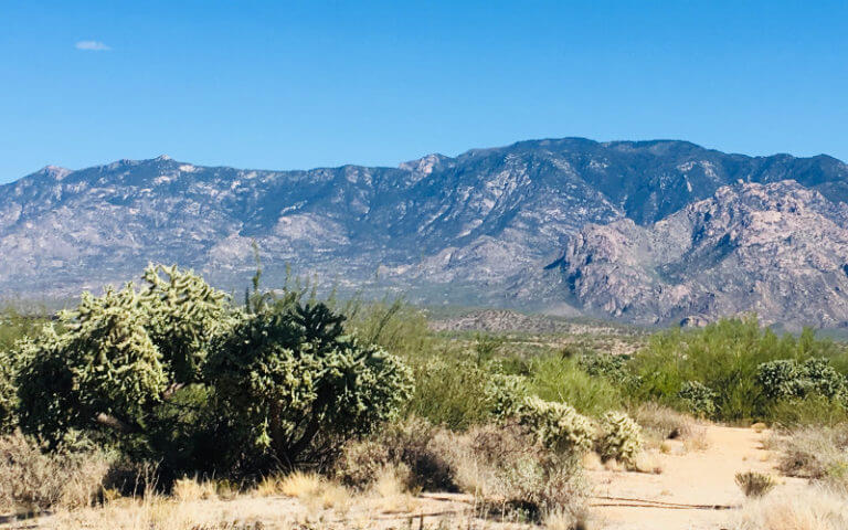 Tucson desert in the foreground and mountains in the background